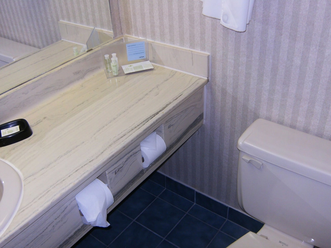 Bathroom 4, Clifton Victoria Inn at the Falls, Niagara