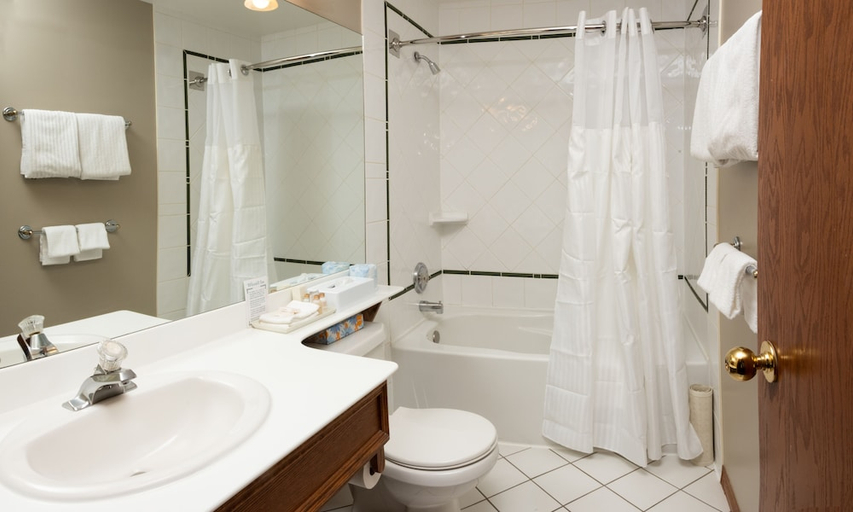 Bathroom 4, Whistlers Inn, Division No. 15