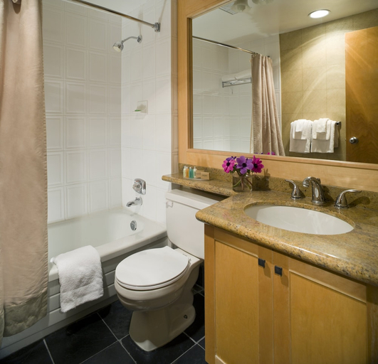 Bathroom 4, Whistler Village Inn And Suites, Squamish-Lillooet