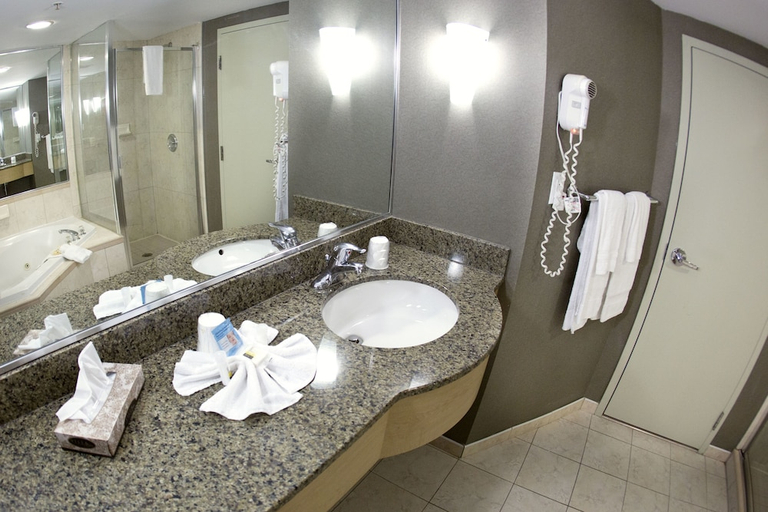 Bathroom 4, Falls Hotel and Inn, Niagara