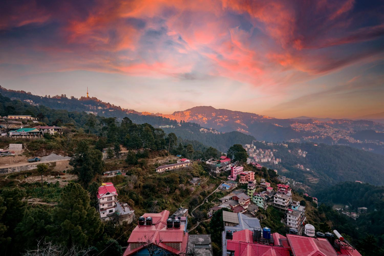 Others 5, Meraki Shimla, Shimla