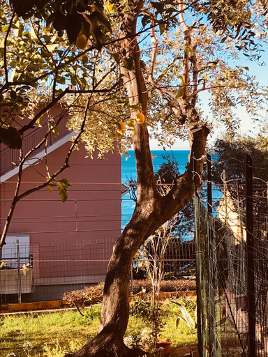Exterior & Views 3, Happy House Bogliasco, Genova