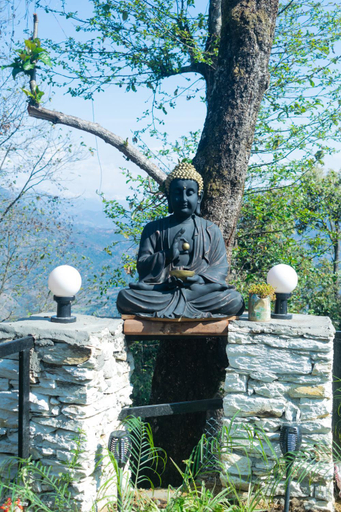 Others 3, THE HIMALAYAN WOODS, CHAUKORI, Pithoragarh