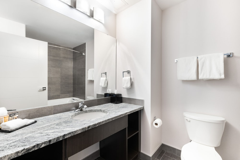 Bathroom 4, Park Inn by Radisson Edmonton Airport, Division No. 11