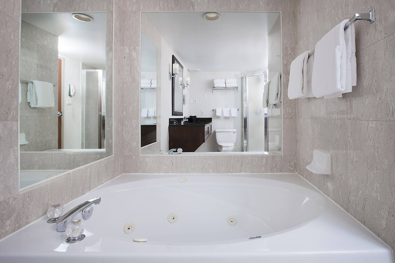 Bathroom 2, Sheraton Fallsview Hotel, Niagara