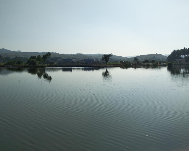 Others 5, Sai Maa Resort And Convention Centre, Anantapur
