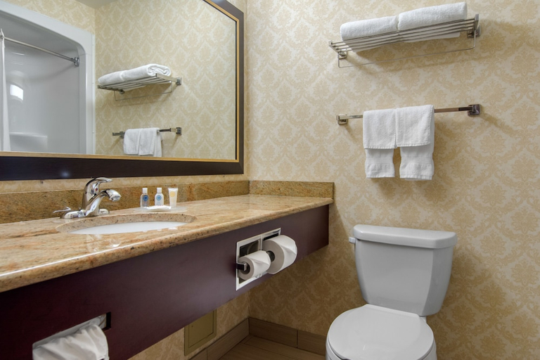 Bathroom 4, Comfort Inn & Suites Levis, Les Chutes-de-la-Chaudière