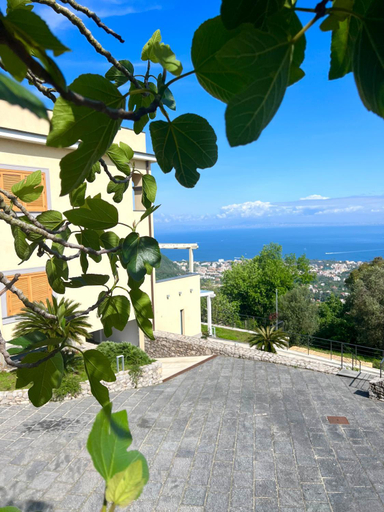 Exterior & Views, Fountain House Sorrento, Napoli