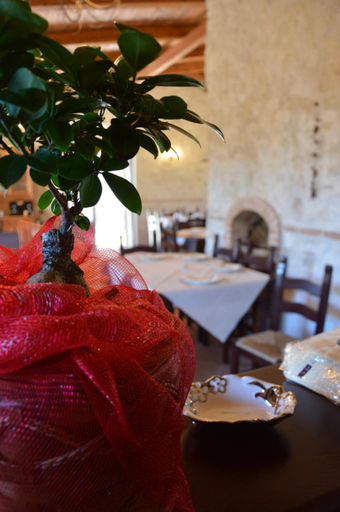 Food & Drinks 2, Borgo Carida - Green Family Holidays, Vibo Valentia
