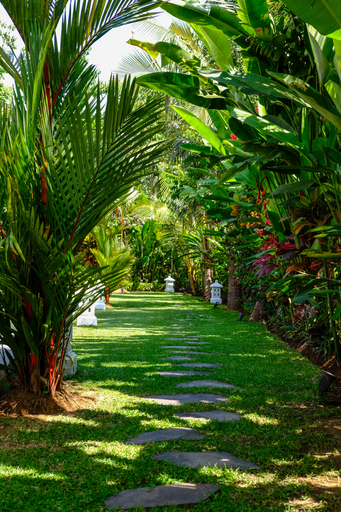 Others 5, Villa Mata Hari, Buleleng