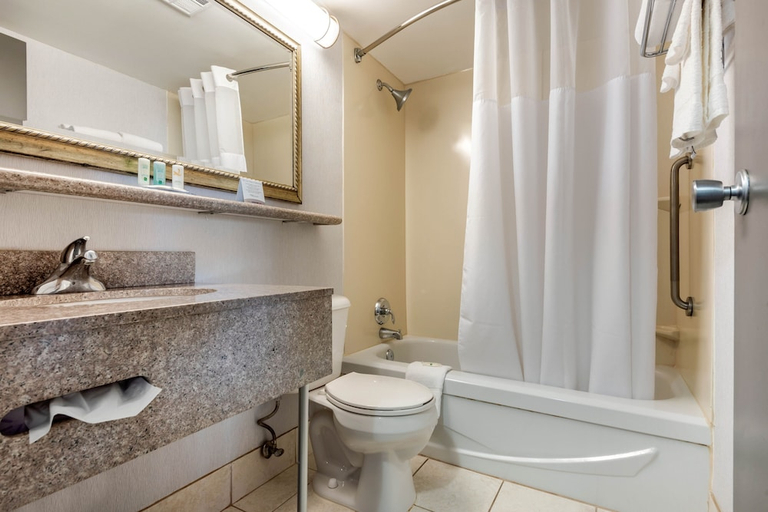 Bathroom 3, Quality Inn & Suites Mississauga Toronto Airport West, Peel