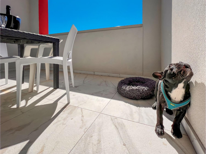 Others 2, Zeus, Venezia