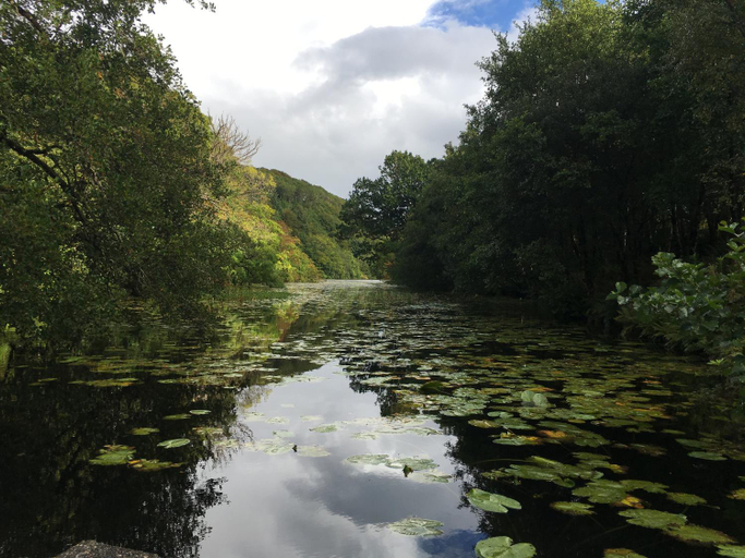 Others 3, Burnbank BnB, Argyll and Bute