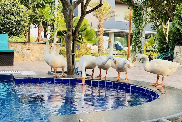 Others 4, Krishna Riverside Resort, Anand