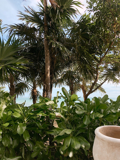 Others 3, BT Homes - Tankah Beachfront, Cozumel