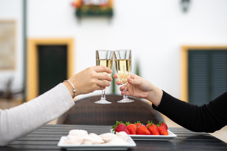 Food & Drinks 4, Casa D'Oliveira, Aveiro