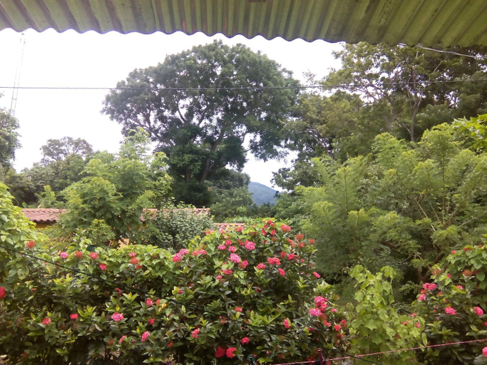 Others 2, El Guis hostel, Lago de Nicaragua