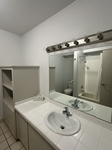 Bathroom 3, The New Pioneer, Mohave