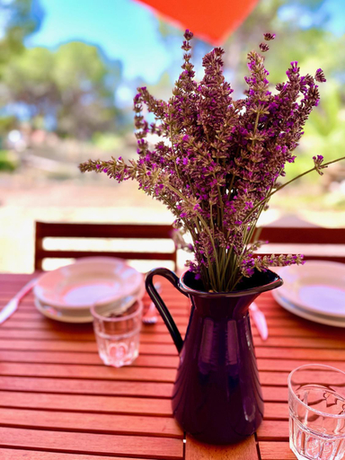 Food & Drinks 5, Villa SALMAGI - Sardegna, Cagliari