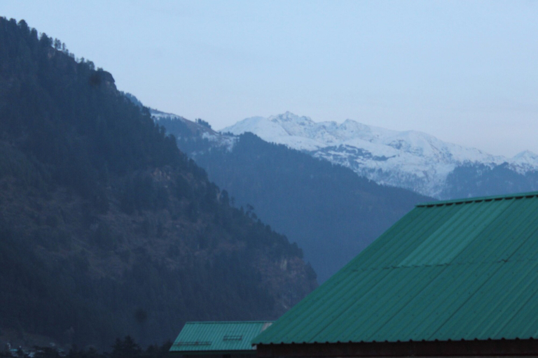 Others 5, Goroomgo Trippy Turtle Manali, Kullu