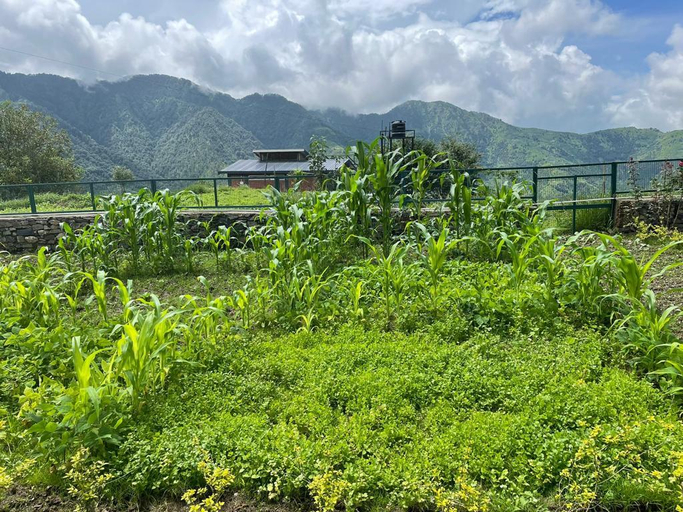 Others 4, Highfield Villa, Tehri Garhwal