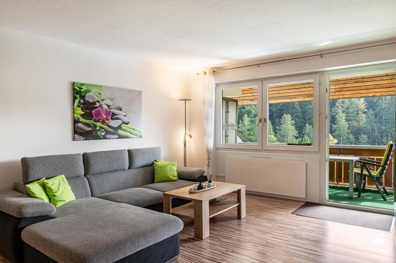 Others 3, Ferienwohnung Ursel, Waldshut