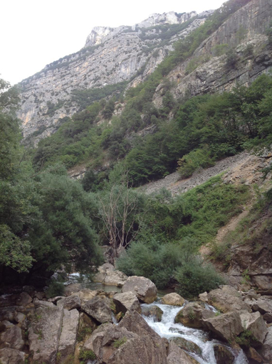 Others 5, La cigale, Alpes-Maritimes