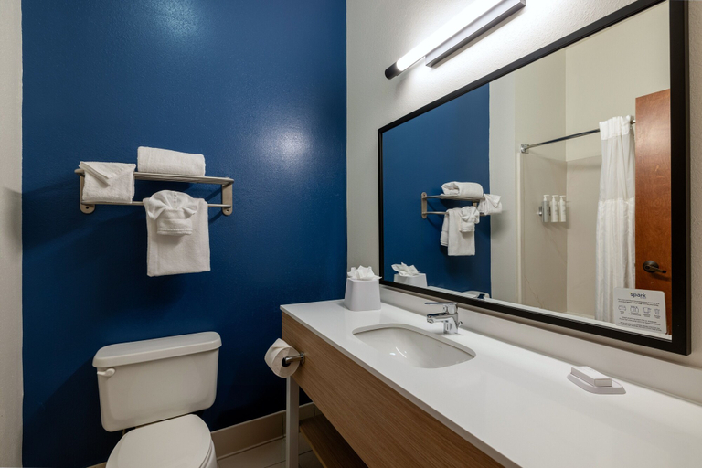 Bathroom 4, Spark by Hilton Savannah Airport, Chatham