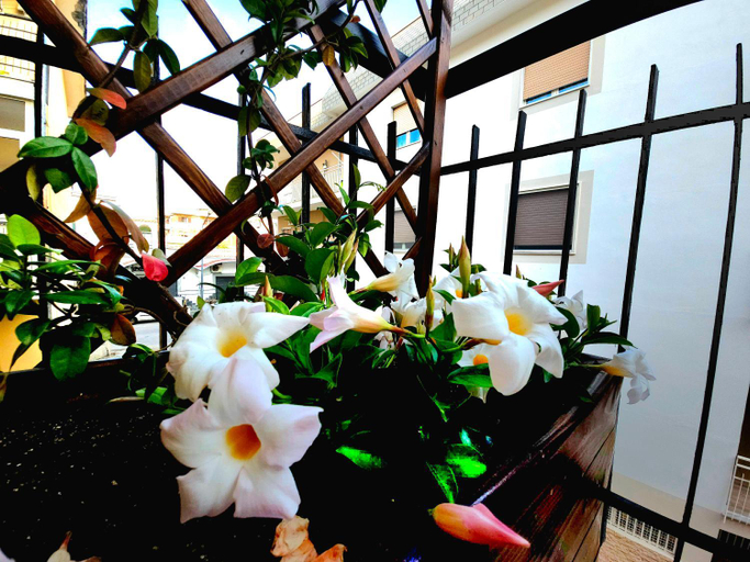 Others 3, B&B Donna France Pompei - Scafati, Salerno