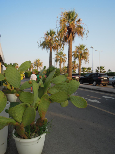 View 2, Casa al mare Circe, Agrigento