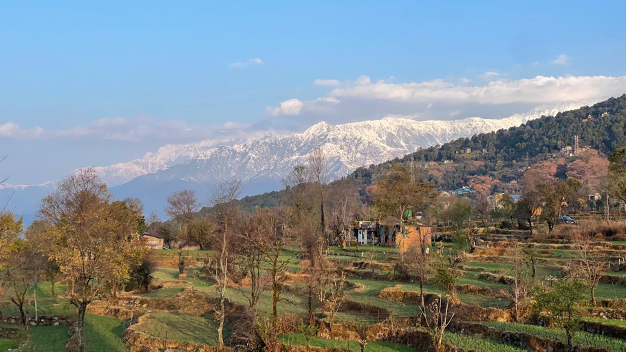 Others 5, Flashpackers Bir | Rooms & Dorms, Kangra