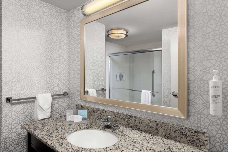 Bathroom 4, Hampton Inn & Suites Douglas, Converse