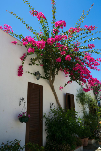 Others 2, Villa Pampalone - b&b in dimora storica, Trapani