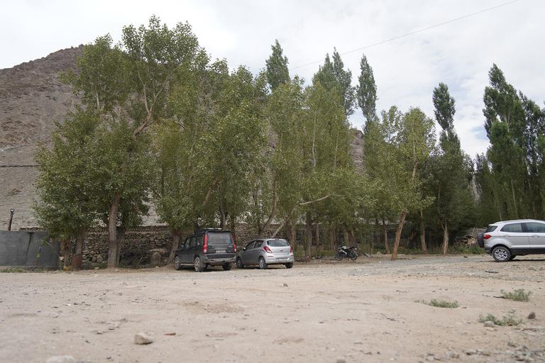 Others 4, Norbooling HomeStay, Leh Ladakh, Leh