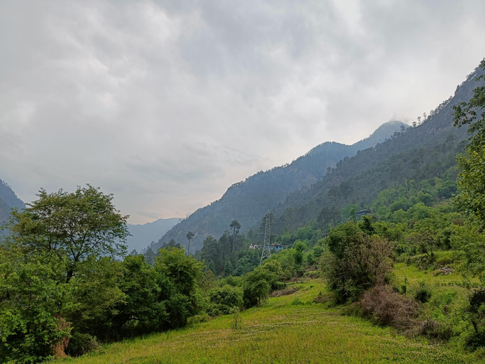 Others 2, The Pharaoh's Nest, Kullu
