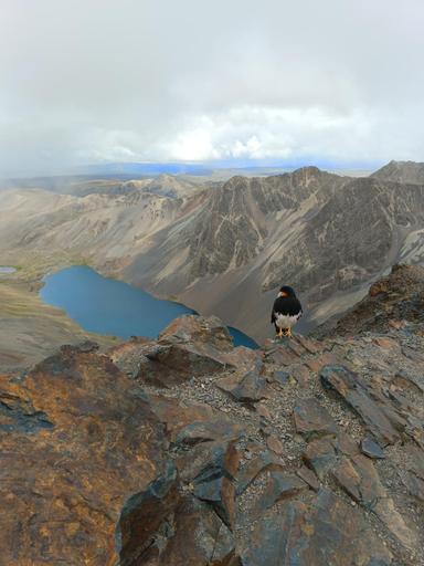 Exterior & Views 4, Albergue tuni, Los Andes