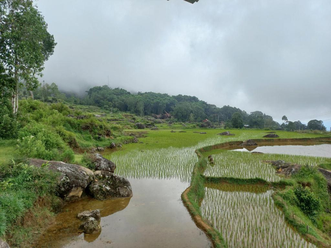 Others 4, Tongkonan Kale Landorundun, Tana Toraja