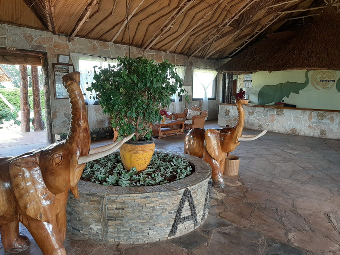 Public Area 3, AA Lodge Amboseli, Kajiado South