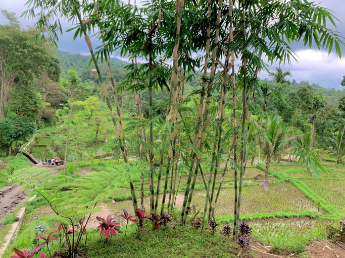 Scenery 2