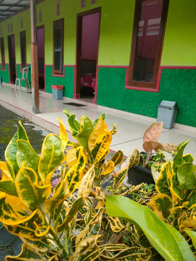 Sport & Beauty, One best homestay, Banyuwangi