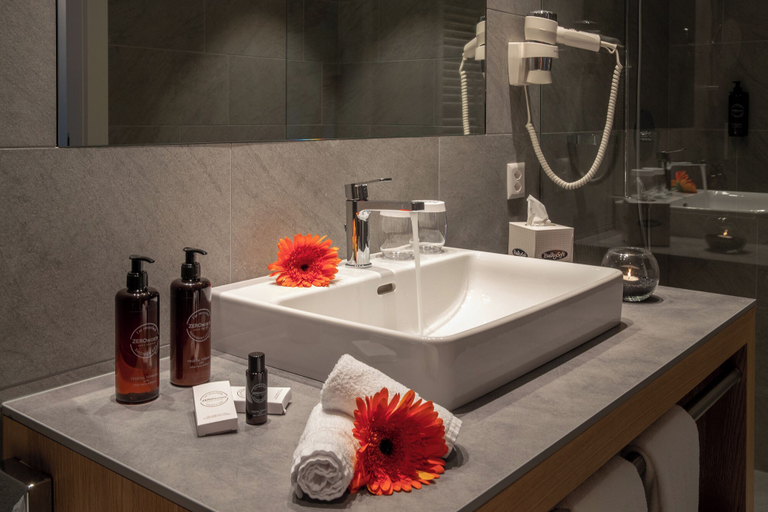 Bathroom 5, Hotel Lago Maggiore, Locarno