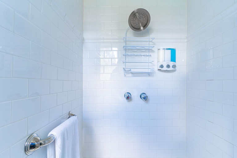 Bathroom 3, The Estate at Mt Dora, Lake