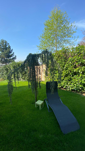 Garden 3, Jules&Jim Gastehaus, Linz