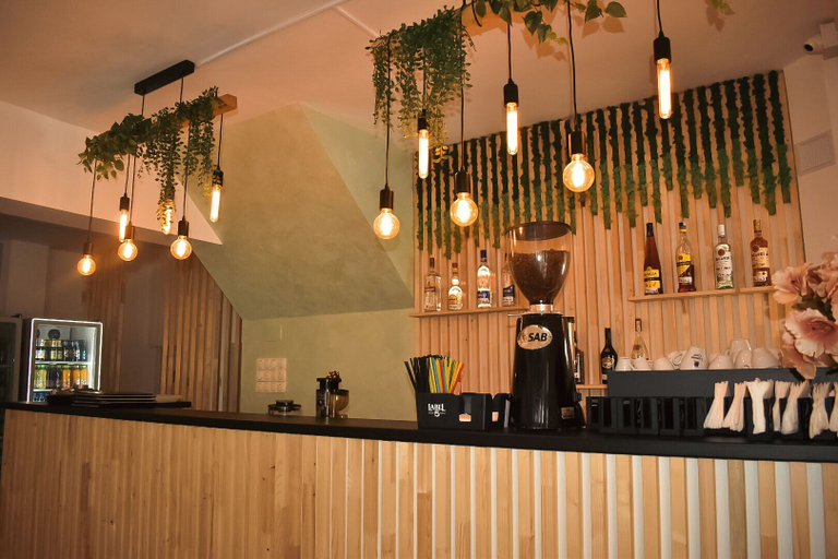 Food & Drinks 4, Complex Caprioara Toplita, Toplita