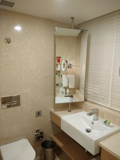 Bathroom 5, Welcom Rama International, Aurangabad