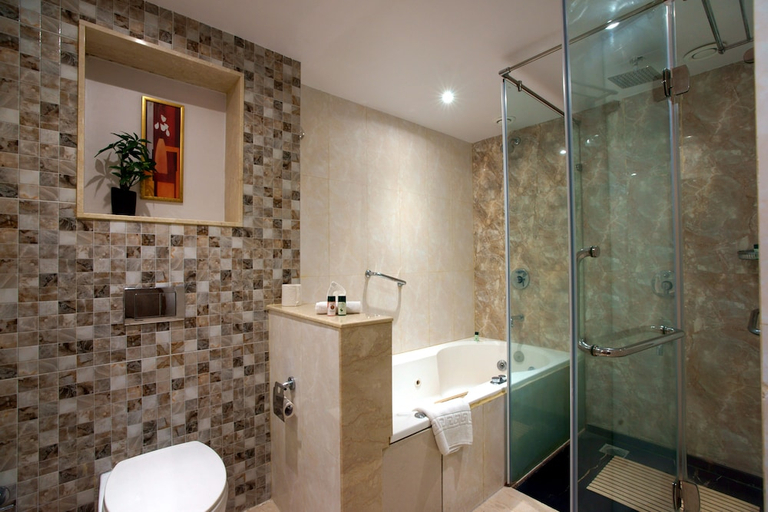 Bathroom 4, Daspalla Hotel Hyderabad, Hyderabad