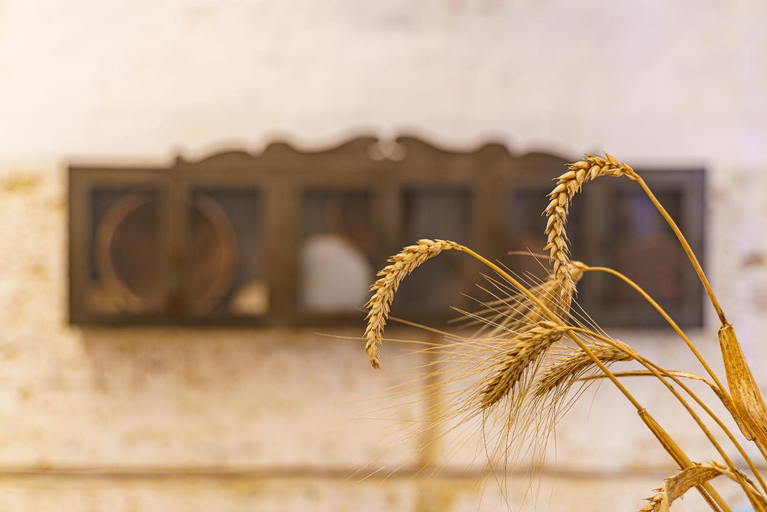 Exterior & Views, Il Granile Contemporary Loft, Matera