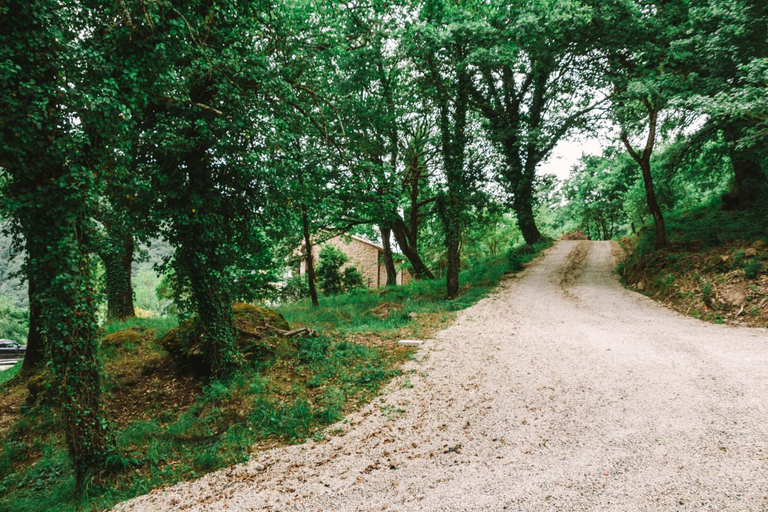Others 5, Selene - In Parulia Country House, Arezzo