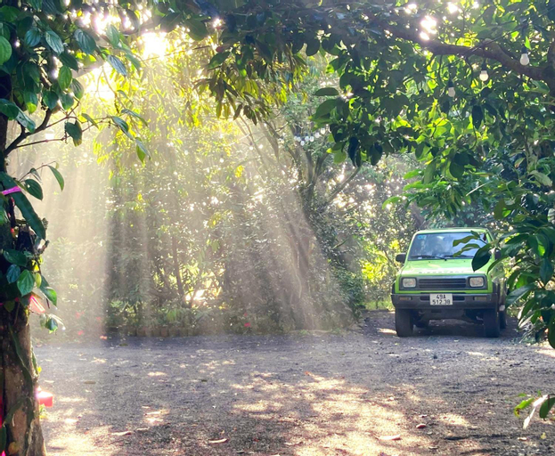Scenery 16