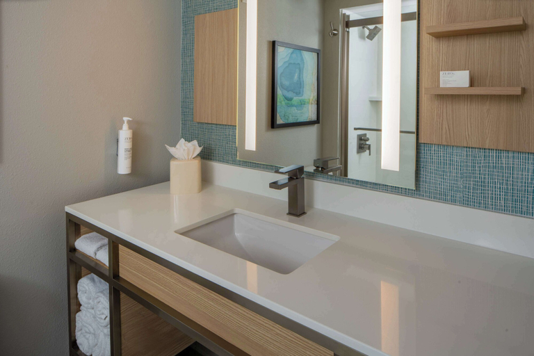 Bathroom 4, Hilton Garden Inn Orlando Airport, Orange